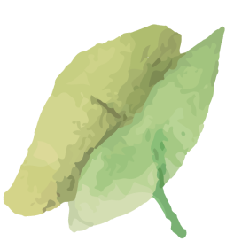 leaf