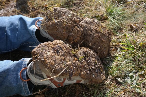muddy shoes invasive species