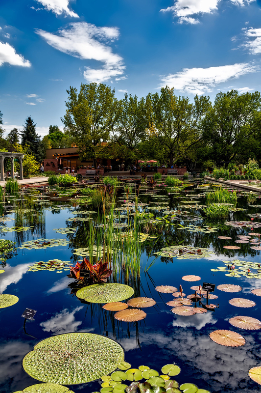 The Best Botanical Gardens in North America & The US