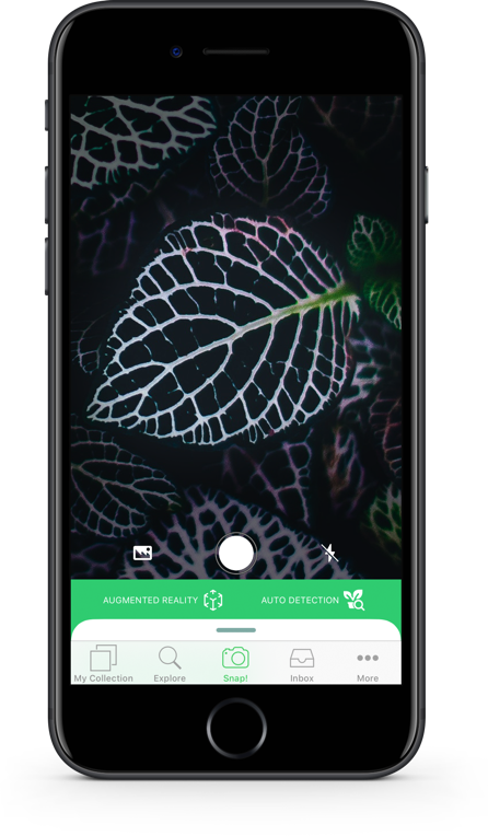 6 Best free plant identification apps that plant lovers must use