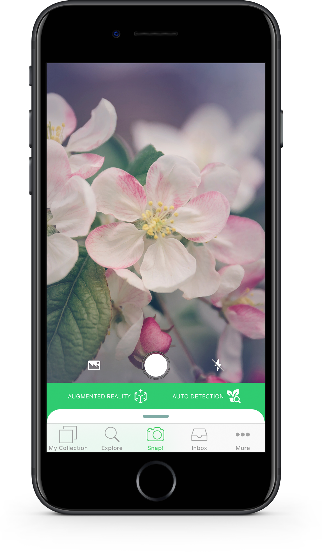 PlantSnap - Plant Identifier #1 Mobile App for Plant Identification